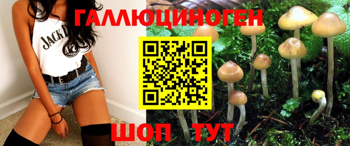 Галлюциногенные грибы ЛСД  Вход с VPN  купить наркоту  Ярославль 